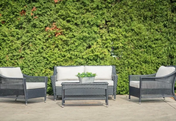 Camus_Conversational_front1_1980x1080_bf775efe-22e2-4a01-9939-010030b61008