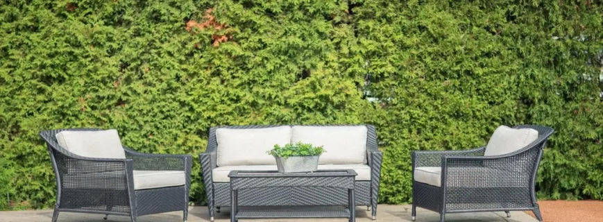 Camus_Conversational_front1_1980x1080_bf775efe-22e2-4a01-9939-010030b61008