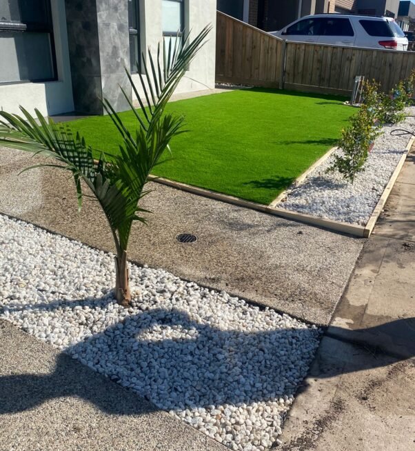 WhatsApp Image 2025-09-01 at 9.38.50 AM (2)