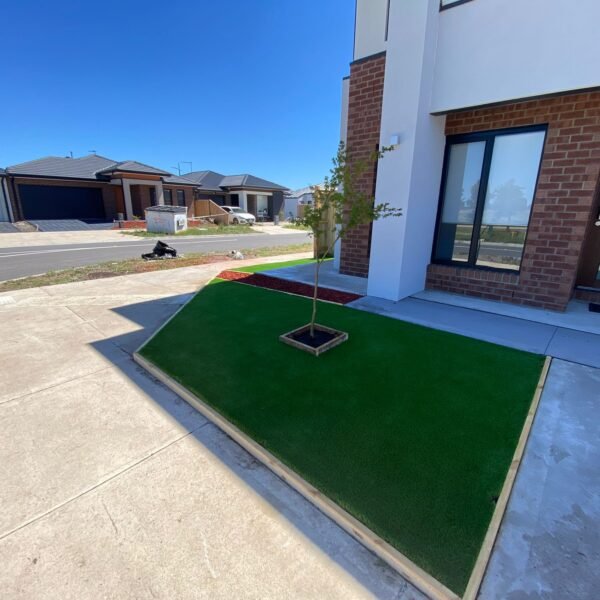 WhatsApp Image 2025-09-01 at 9.38.55 AM