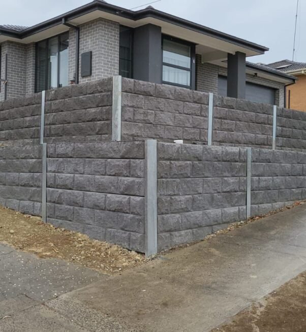 WhatsApp Image 2025-09-09 at 6.41.20 PM